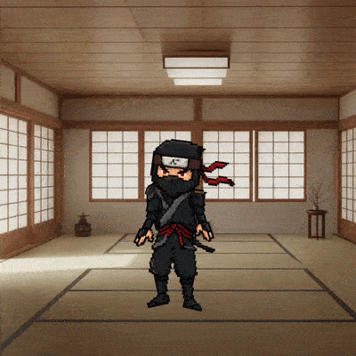 Ninja character